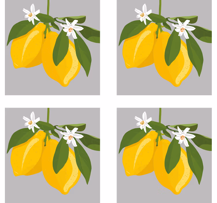 Untersetzer Zitrusfrüchte Zitronenbaum - TenStickers
