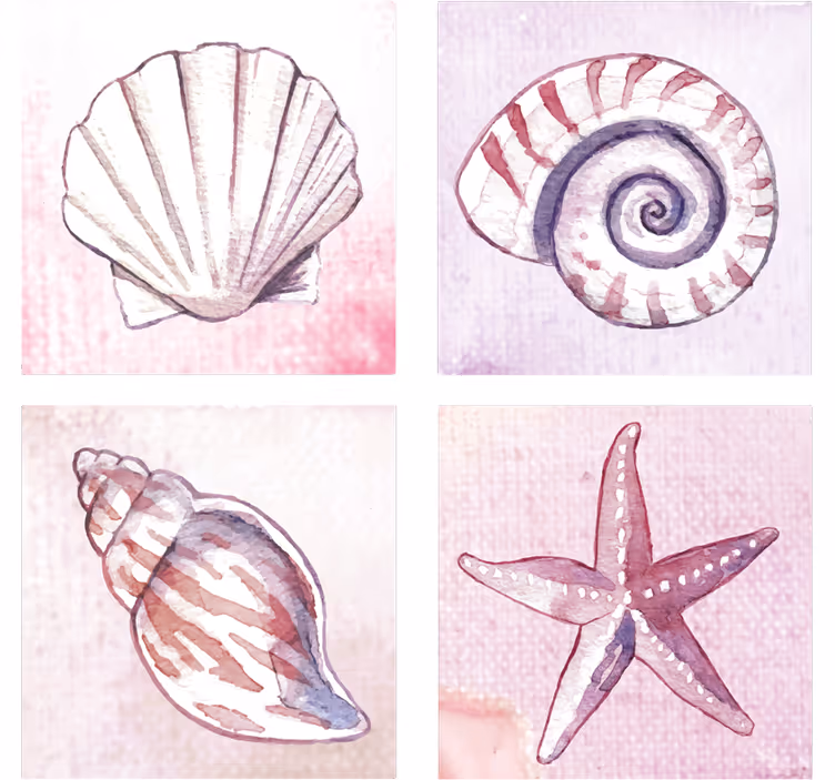 Untersetzer in natürlichen muschel-aquarellen - TenStickers