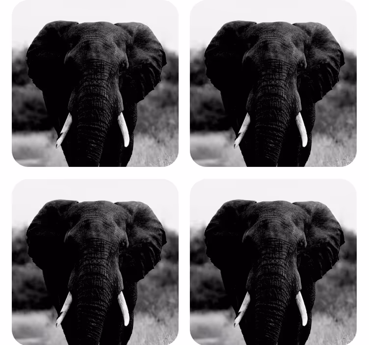 Vintage untersetzer mit monochromen elefantenporträts - TenStickers