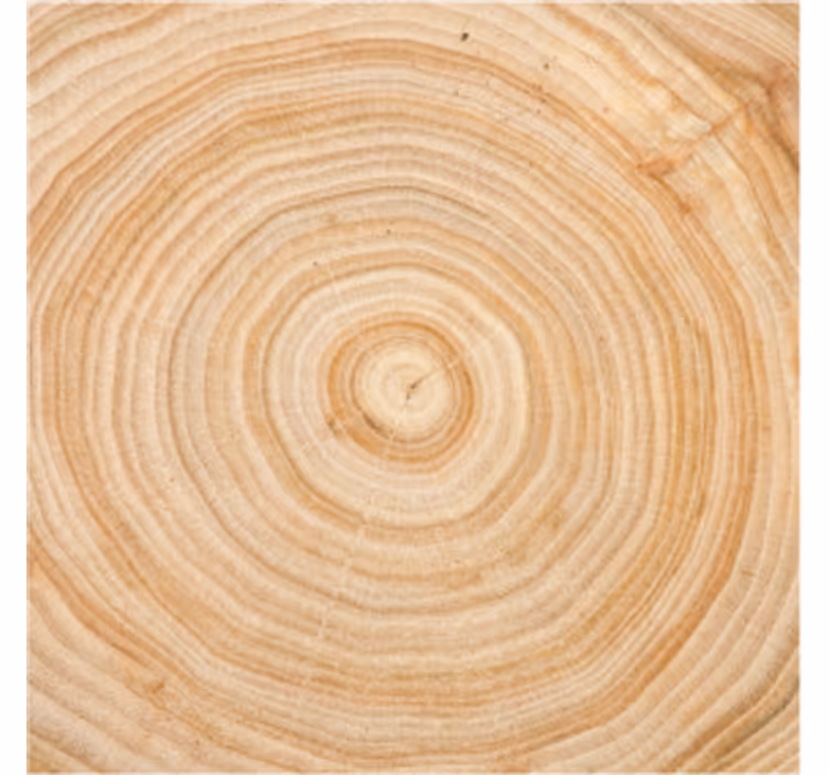 Untersetzer Muster Kreisrundes holzmuster rindenbaum - TenStickers