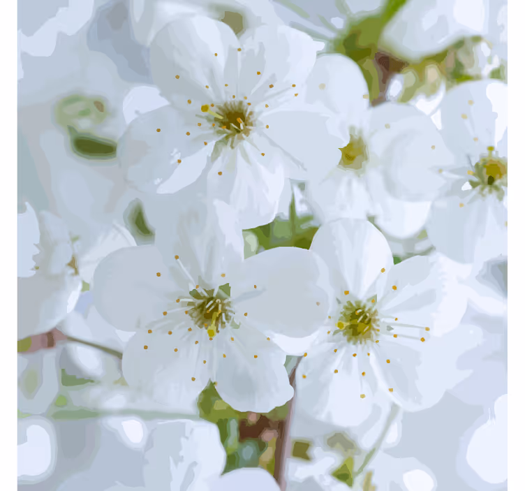 Untersetzer mit zarten kirschblüten - TenStickers
