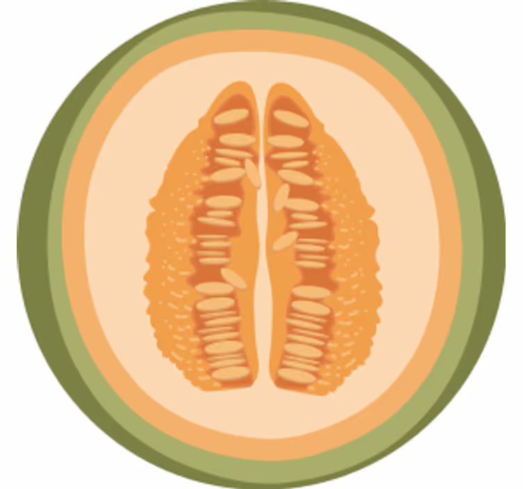 Untersetzer geek mit obstscheiben-motiven - TenStickers