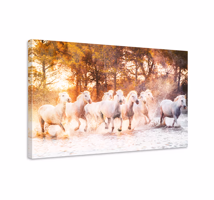 Pferde leinwand wilde pferde im warmen sonnenuntergang - TenStickers