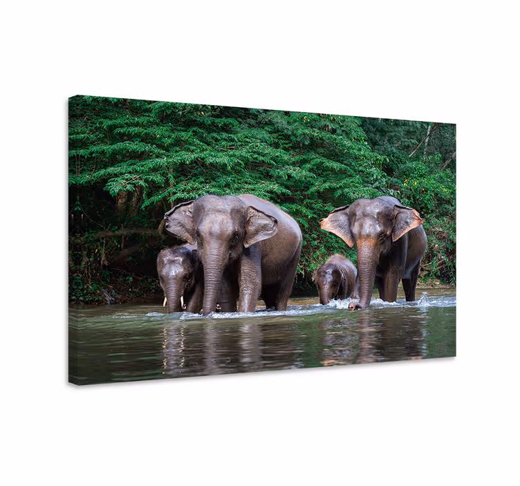 Wandbild elefant dschungel mit tieren - TenStickers