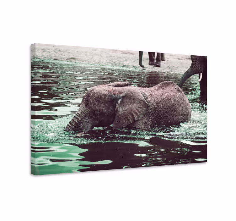 Wandbild elefant mit trinkenden baby-elefanten - TenStickers