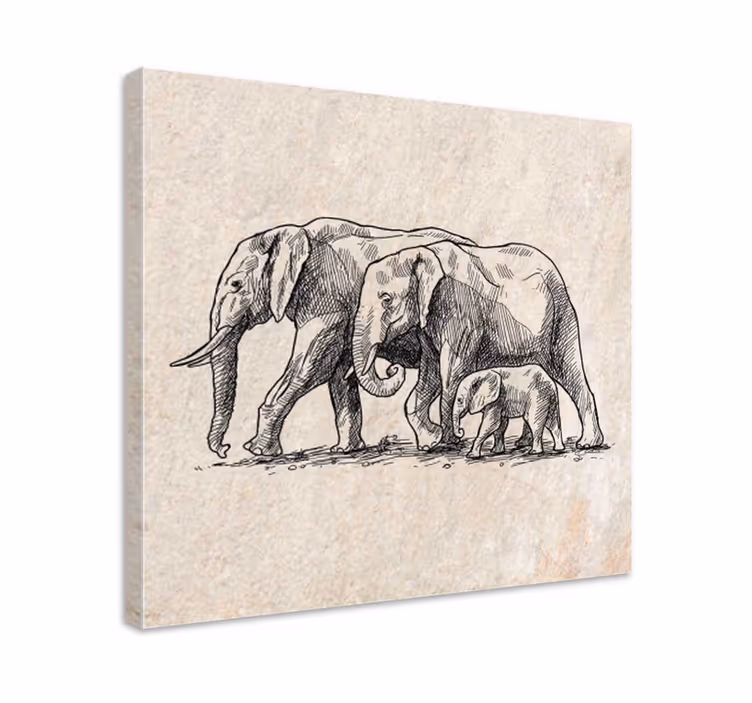 Wandbild elefant skizze von elefanten - TenStickers