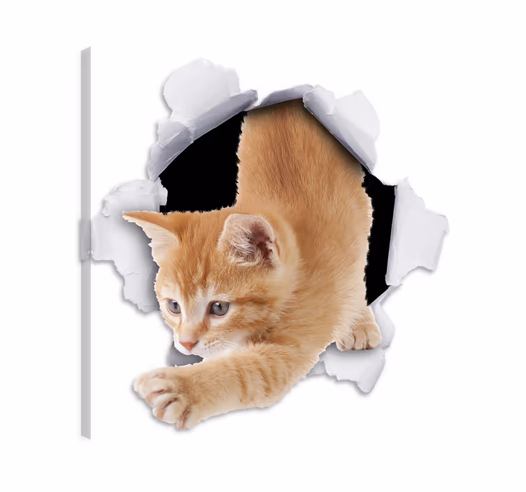 Wandbilder katzen dekoratives wandtattoo katze - TenStickers