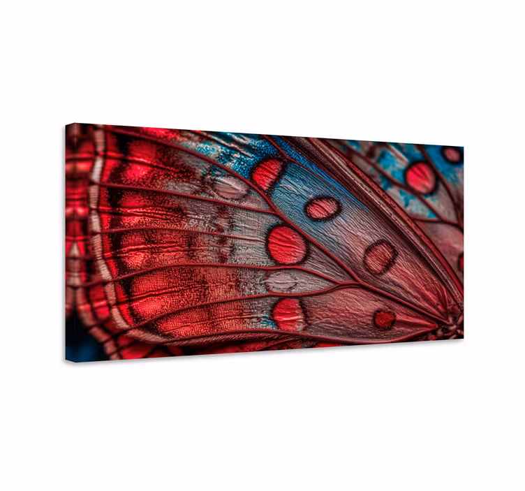 Wandbild schmetterling mit schmetterlingsflügel - TenStickers