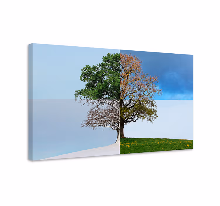 Wandbild baum saisonaler kontrast - TenStickers