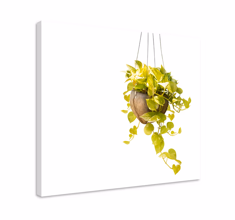 Leinwandbild mit hängendem pflanzenarrangement - TenStickers