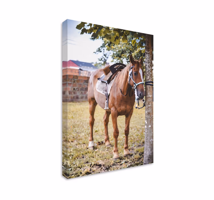 Wandbild Pferd Pferd unter einem baum - TenStickers