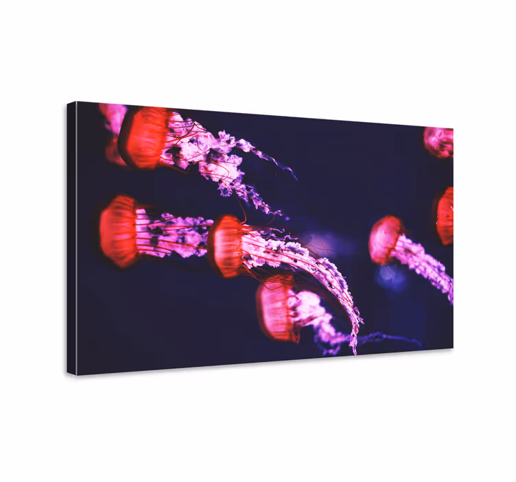 Wandbild Tier Quallen Design - TenStickers