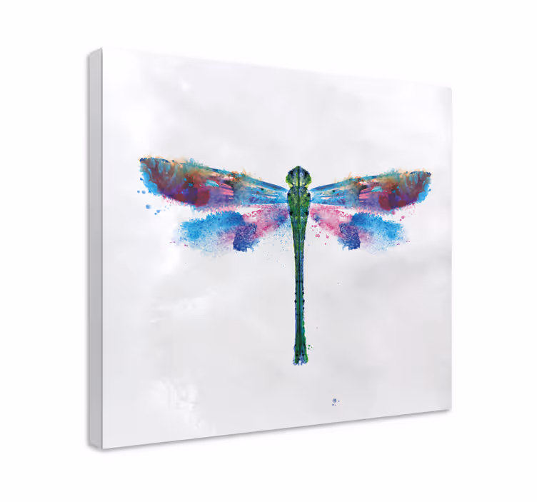 Wandbild Libelle Weißer Hintergrund mit - TenStickers
