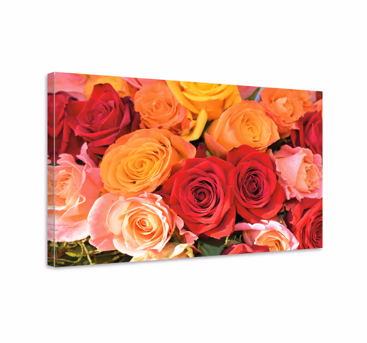 Leinwandbild Blume Orangerote und rosa rosen - TenStickers