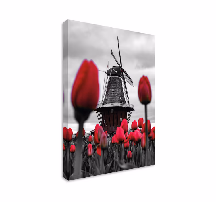 Leinwandbild Blume Tulpenfeld mit windmühle - TenStickers