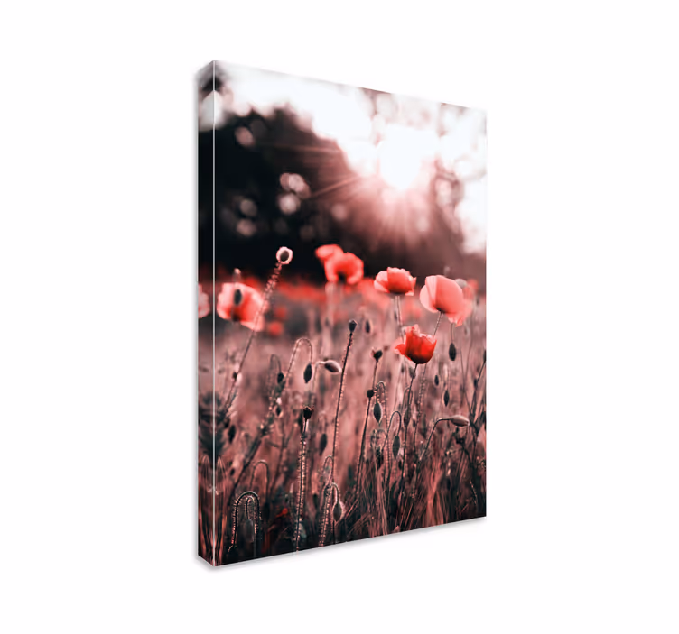 Leinwandbild mohnblumenwiese strahlkraft - TenStickers