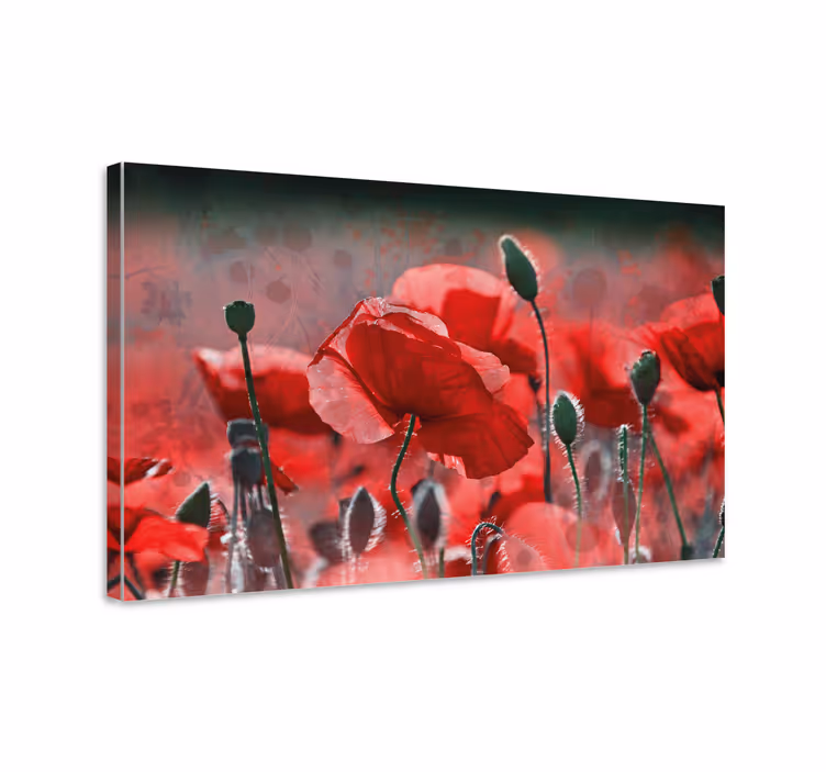 Leinwandbild Blume Rotes und grünes mohnfeld - TenStickers