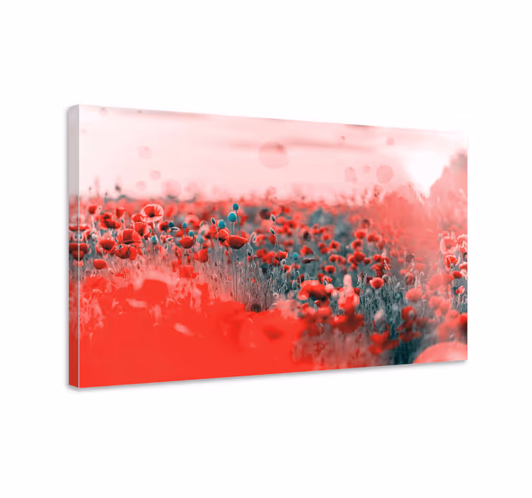 Leinwandbild blume lebhaftes mohnblumenfeld - TenStickers
