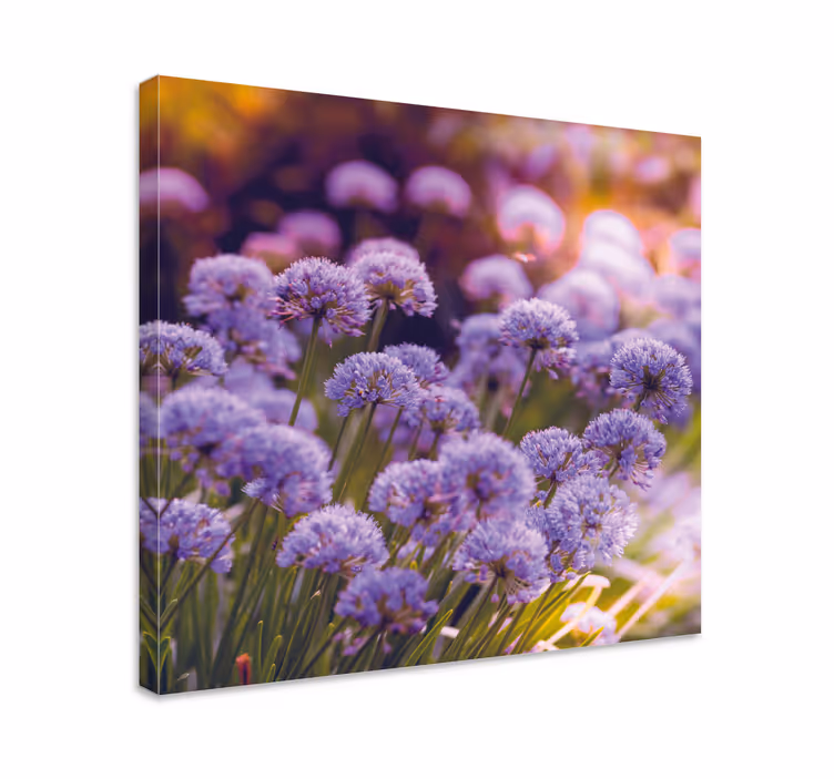 Leinwandbild mit lebendigen lila blüten - TenStickers