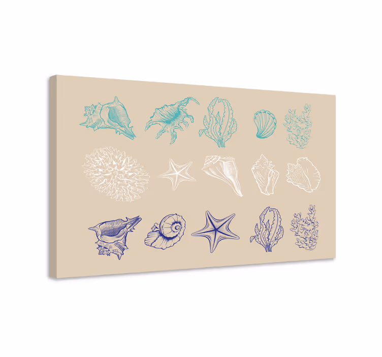 Leinwandbild meer muschelsammlung küste - TenStickers
