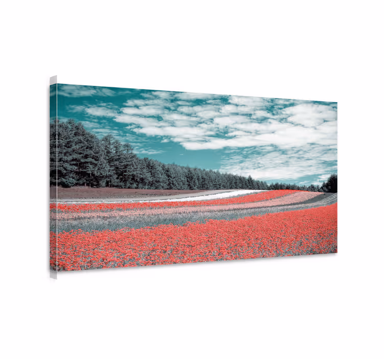 Wandbilder landschaft lebendiges blumenfeld - TenStickers