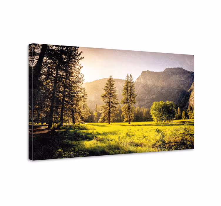 Wandbilder Landschaft Sonnenstrahlen durch die bäume - TenStickers
