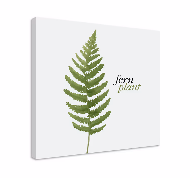Wandbilder Sprüche Farnpflanze minimalistischer stil - TenStickers