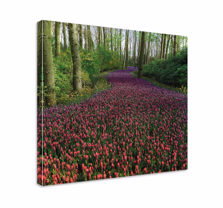 Leinwandbild Blume Landschaft im frühling spring - TenStickers