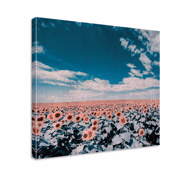 Leinwandbild sonnenblumenfeld horizont - TenStickers