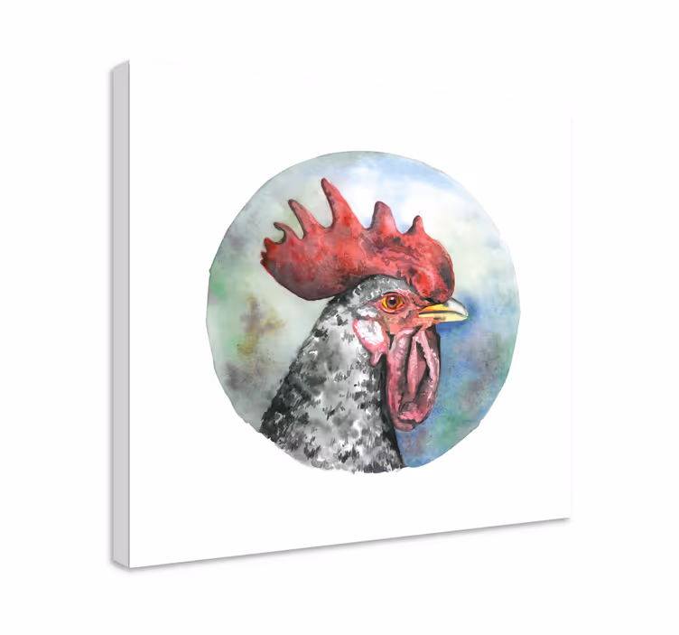 Leinwandbild vogel hühnerportrait - TenStickers