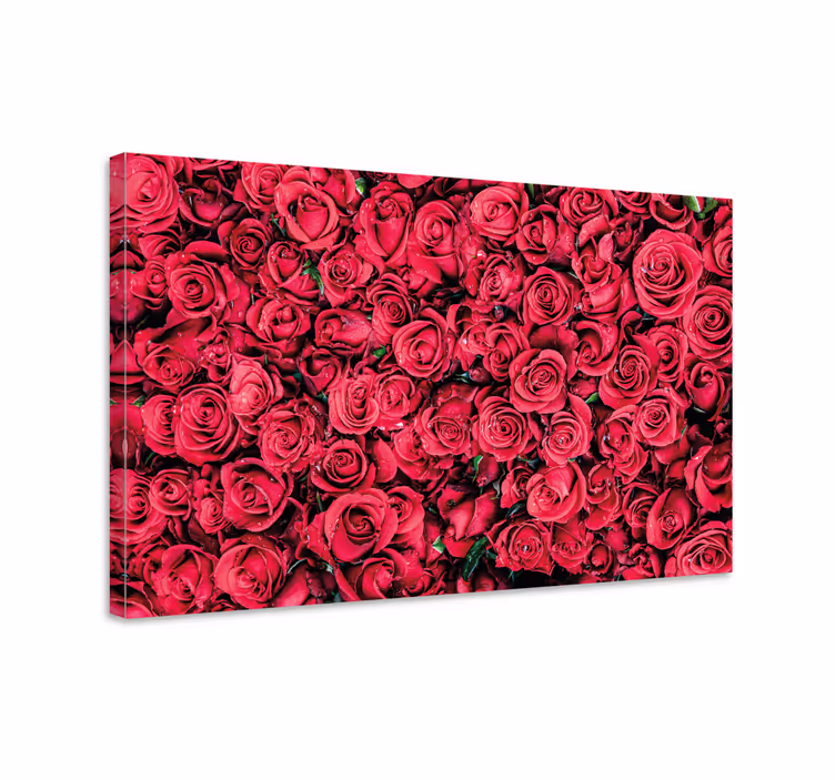 Leinwandbild rosenblütenarrangement - TenStickers
