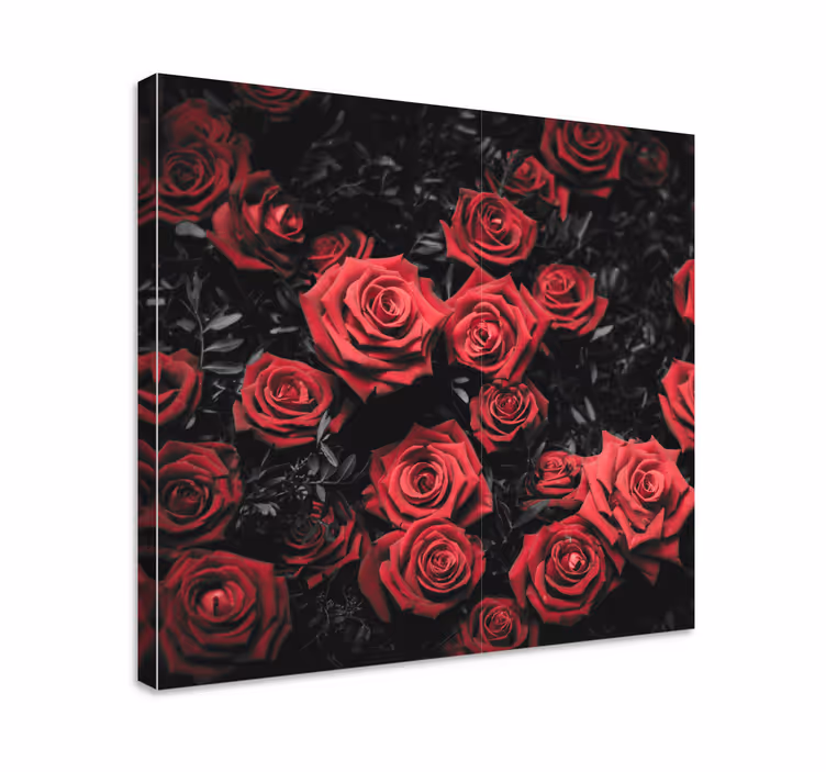 Leinwandbild Blume Schwarz-weiß mit roten rosen - TenStickers