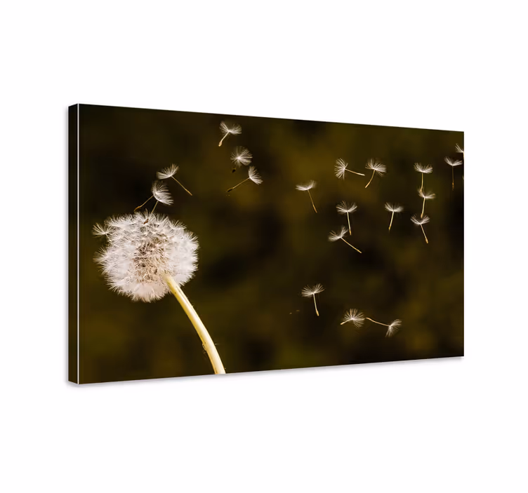 Leinwandbild pusteblumen samen im flug - TenStickers