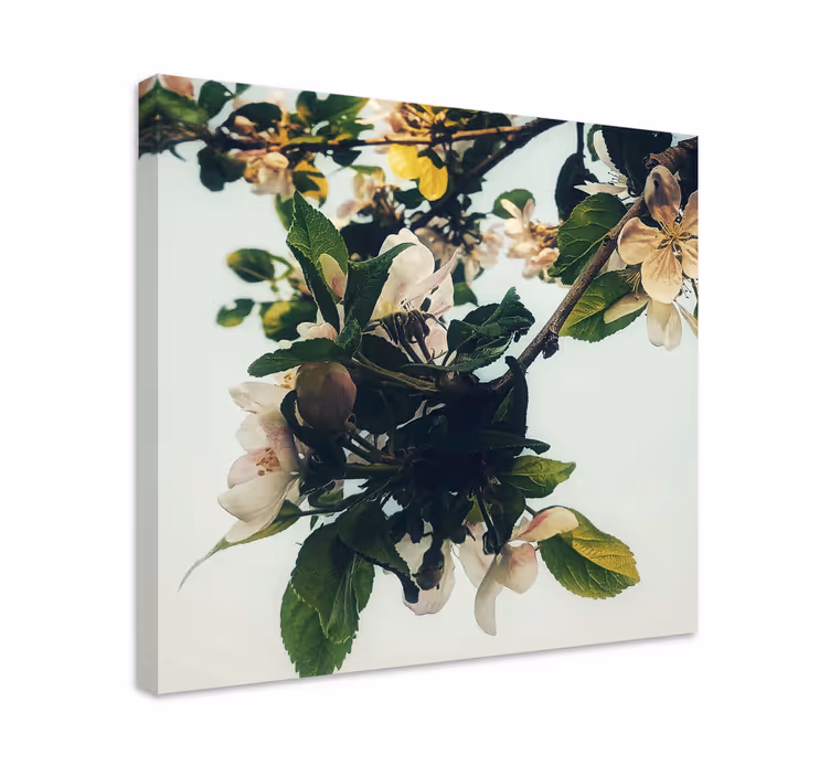 Leinwandbild Blume Vergilbtes Design im vintage-stil - TenStickers