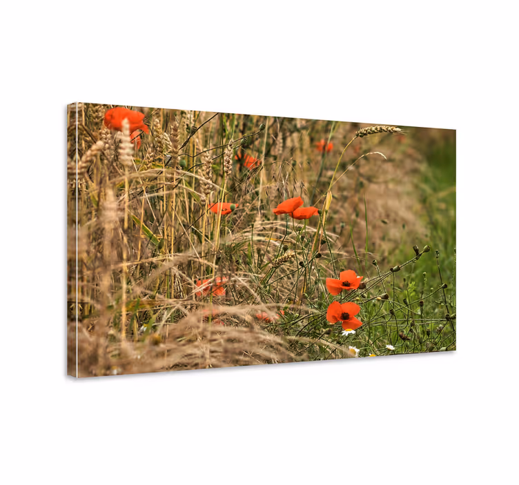 Leinwandbild lebendiges mohnfeld - TenStickers
