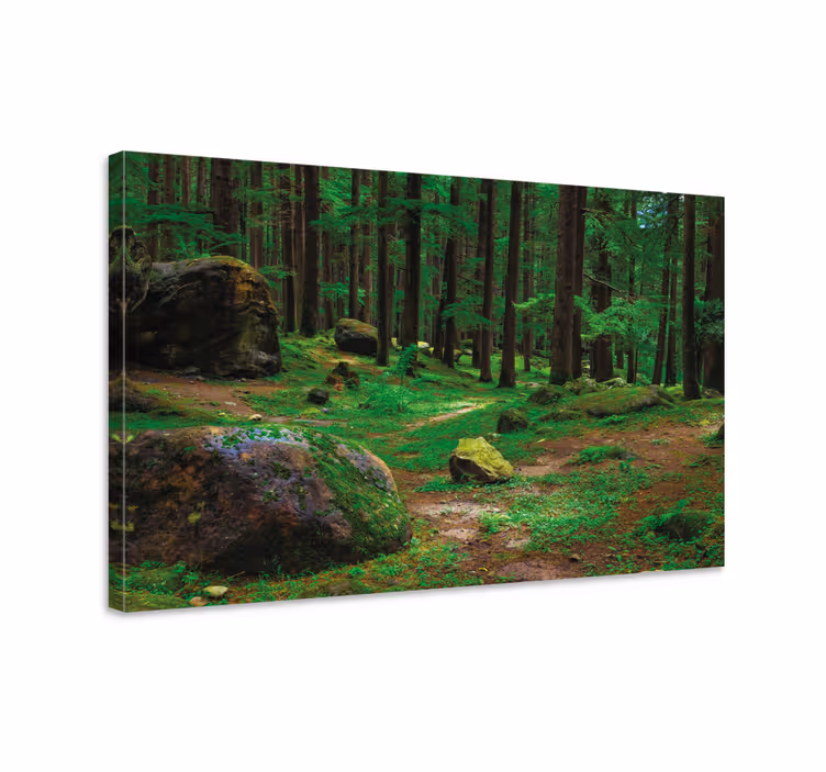 Wandbild Baum üppiger waldweg - TenStickers