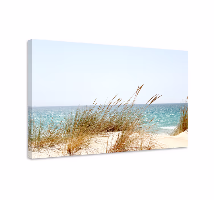 Wandbilder landschaft küsten-dünenblick - TenStickers