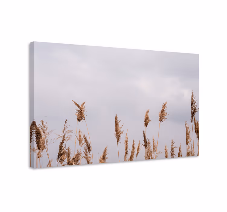 Leinwandbild mit hohen grashalmen - TenStickers