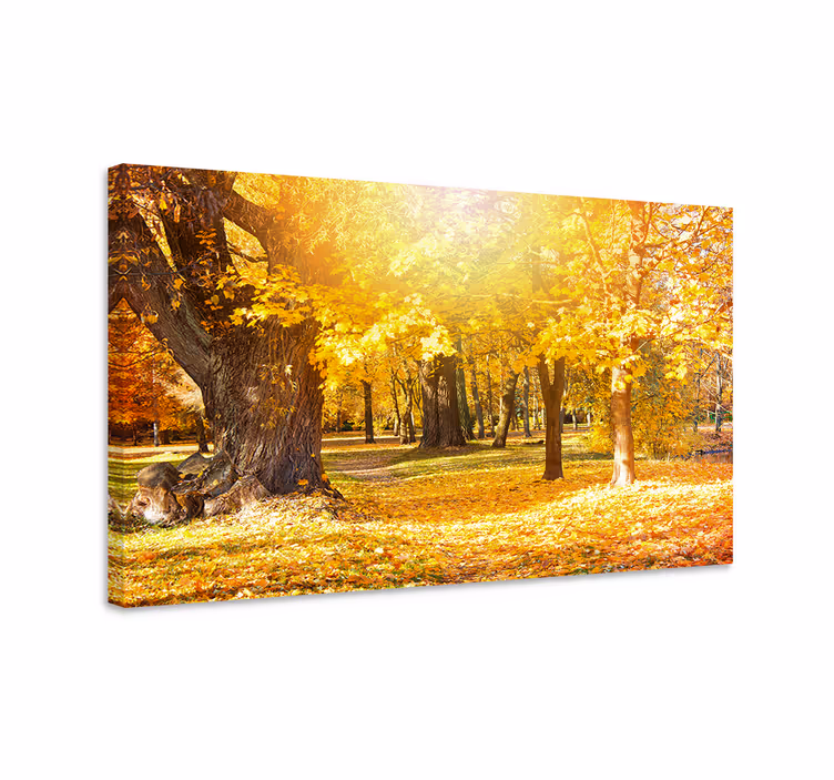 Wandbild baum herbstlicher waldweg - TenStickers