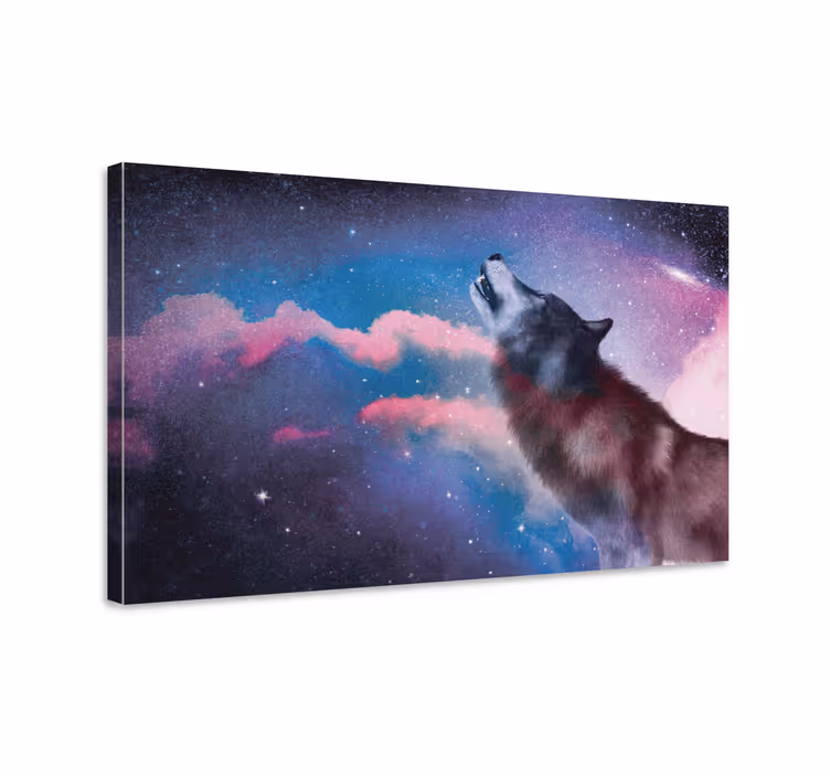 Wandbilder modern Weißer wolf heult die sterne an - TenStickers