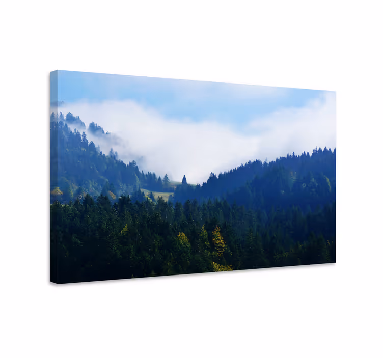 Wandbilder landschaft majestätische waldgipfel - TenStickers
