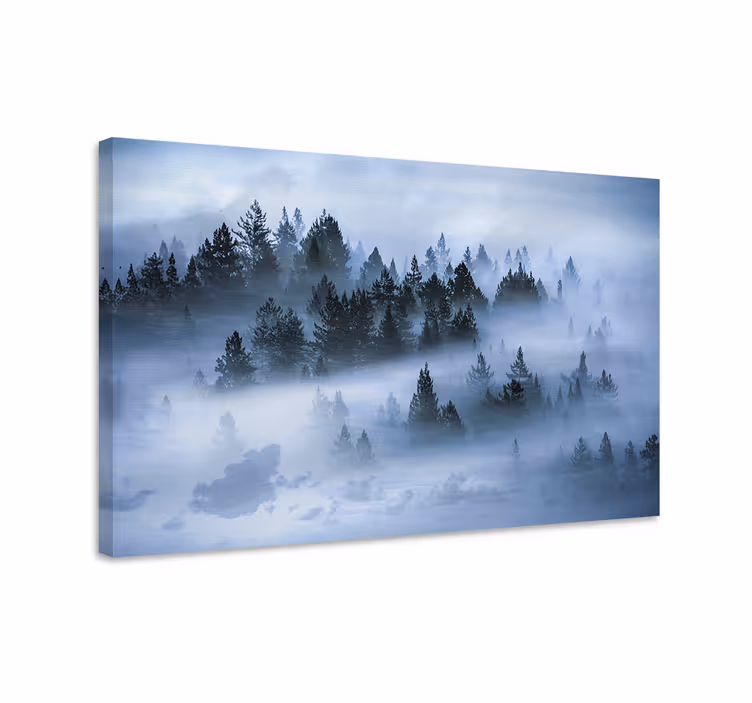 Wandbilder landschaft nebeliger kieferwald - TenStickers