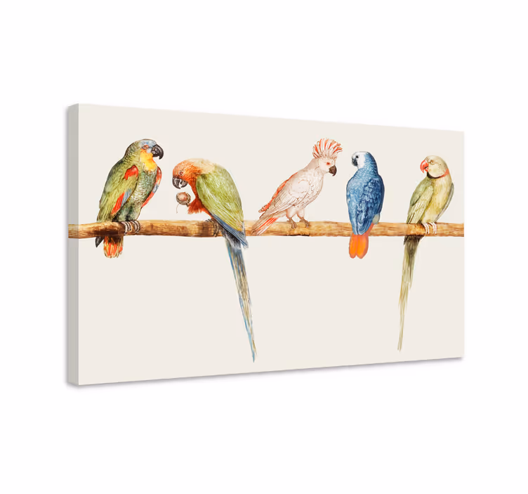 Leinwandbild vogel bunte papageienkollektion - TenStickers