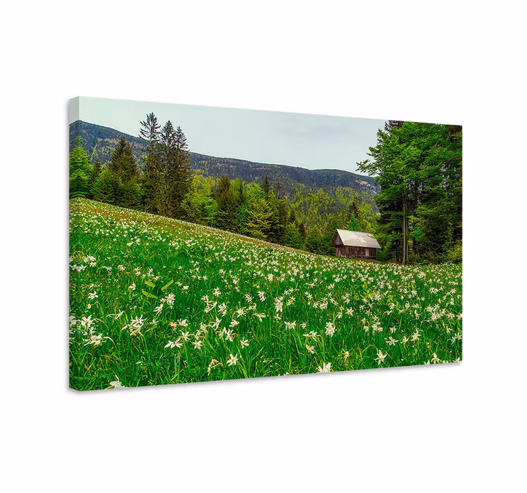 Wandbilder landschaft charmante landhauskabine - TenStickers