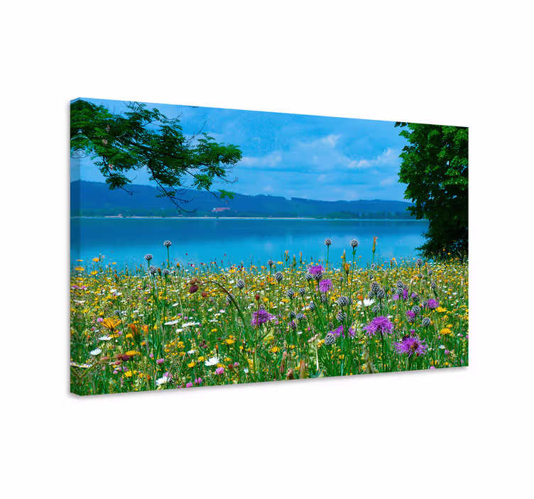 Leinwandbild blühende wiese aussicht - TenStickers