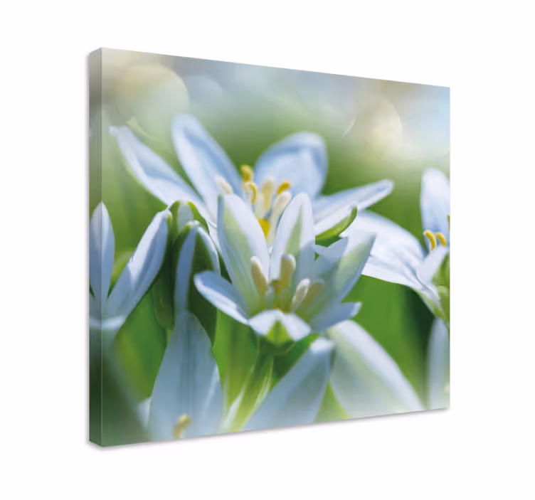 Leinwandbild Blume Wiese mit herrlichen schneeglöckchen - TenStickers
