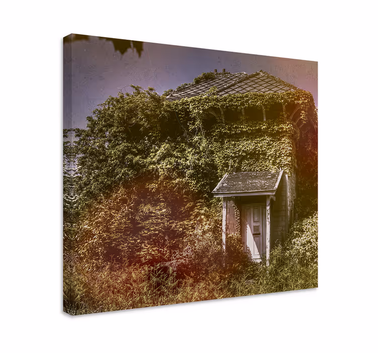 Leinwand Pflanzen Cottagecore naturhaus - TenStickers