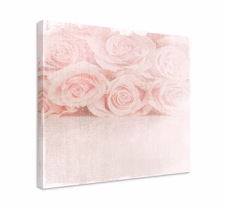Leinwandbild zarte blush rosen - TenStickers