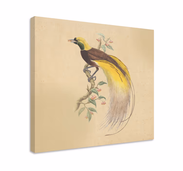 Wandbilder Vintage mit schönen Vogel - TenStickers