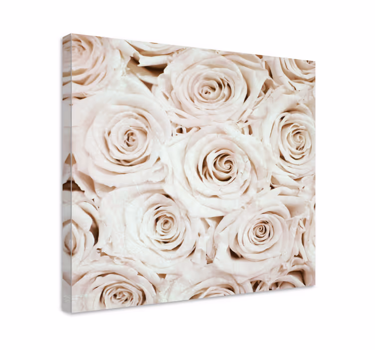 Leinwandbild Blume Elegantes weißes rosenblütendesign - TenStickers